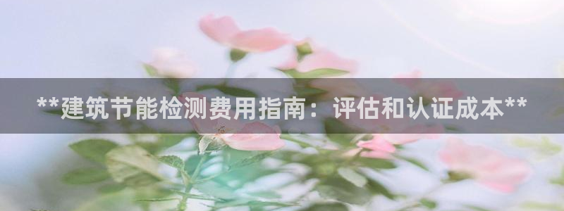 e尊国际官方网站：**建筑节能检测费用指南：评估和认证成本**
