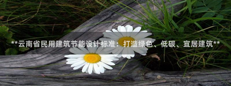 e尊平台：**云南省民用建筑节能设计标准：打造绿色、低碳、宜居建筑**