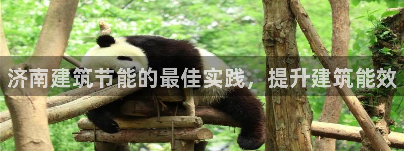 e尊电竞：济南建筑节能的最佳实践，提升建筑能效