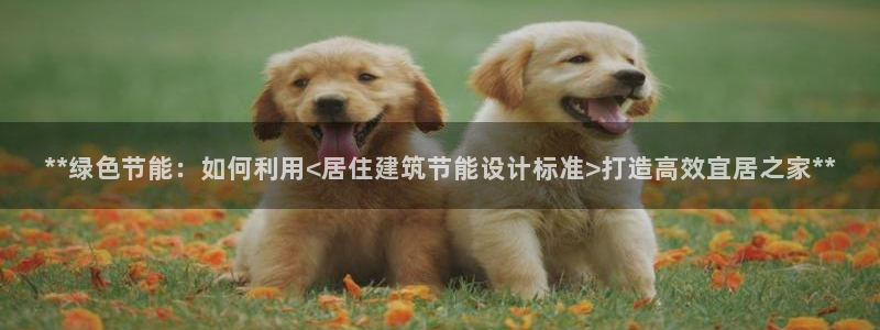 e尊国际是个黑网：**绿色节能：如何利用<居住建筑节能设计标准>打造高效宜居之家**