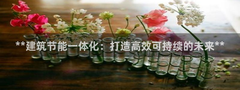 e尊国际网址：**建筑节能一体化：打造高效可持续的未来**