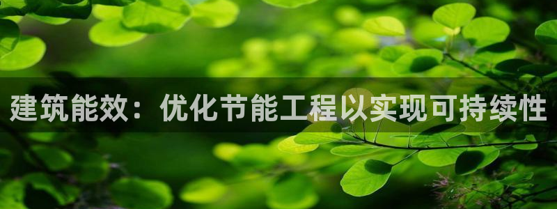e尊官网：建筑能效：优化节能工程以实现可持续性