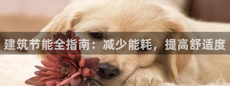 e尊国际的手机登录网站：建筑节能全指南：减少能耗，提高舒适度