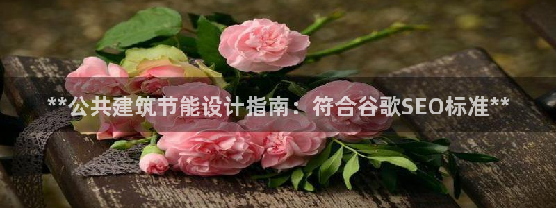 e尊国际app：**公共建筑节能设计指南：符合谷歌SEO标准**