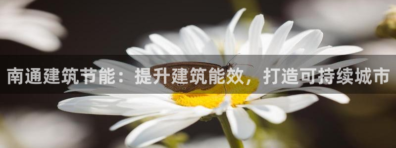 e尊国际平台：南通建筑节能：提升建筑能效，打造可持续城市