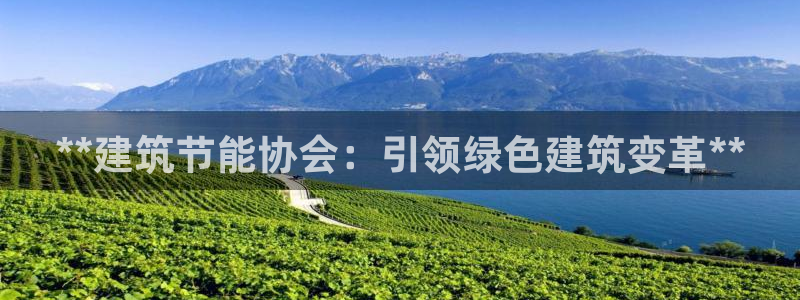 e尊国际可靠吗：**建筑节能协会：引领绿色建筑变革**
