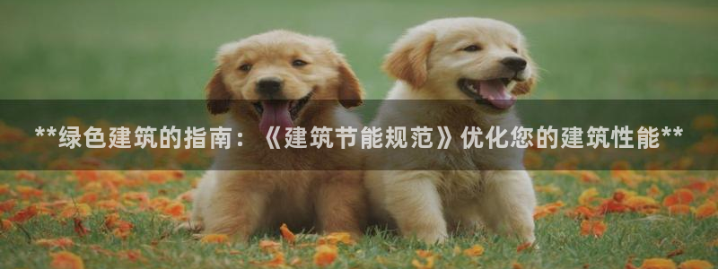 e尊国际是个黑网：**绿色建筑的指南：《建筑节能规范》优化您的建筑性能**
