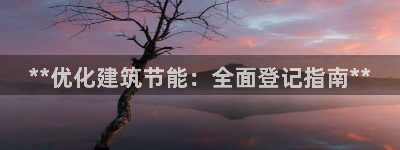 e尊国际的手机登录网站：**优化建筑节能：全面登记指南**