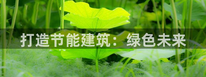 e尊国际可靠吗：打造节能建筑：绿色未来