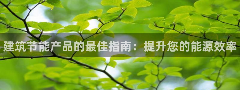 e尊国际平台：建筑节能产品的最佳指南：提升您的能源效率