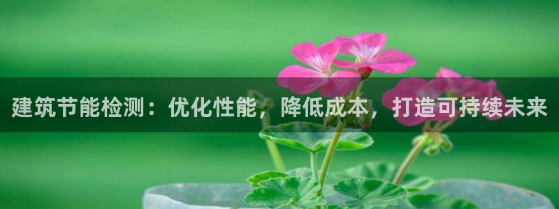 e尊国际是个黑网：建筑节能检测：优化性能，降低成本，打造可持续未来