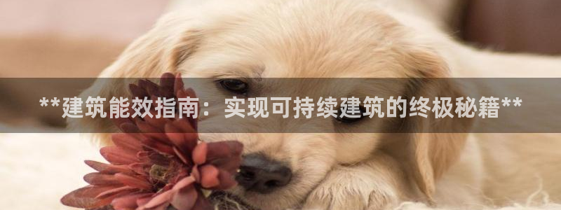 e尊国际娱乐官网下载：**建筑能效指南：实现可持续建筑的终极秘籍**