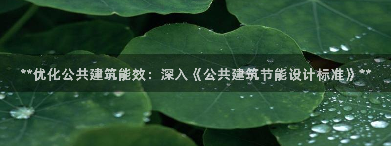 e尊国际地址：**优化公共建筑能效：深入《公共建筑节能设计标准》**