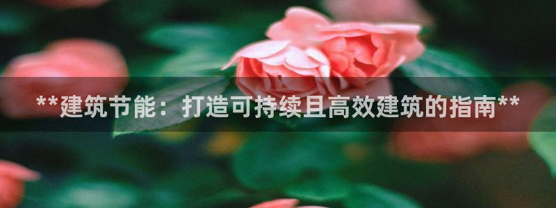 e尊国际官网·网址：**建筑节能：打造可持续且高效建筑的指南**