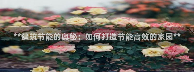 尊亿娱乐国际官网