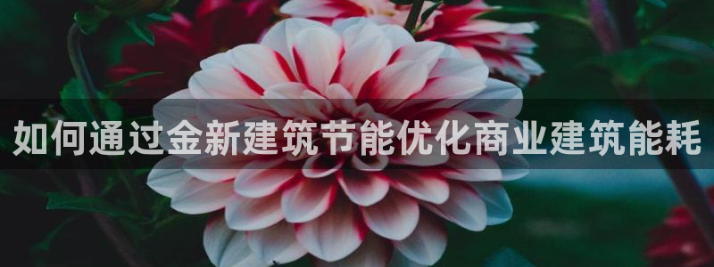 e尊国际客服：如何通过金新建筑节能优化商业建筑能耗