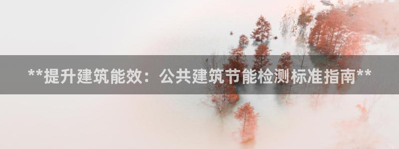 e尊国际网址：**提升建筑能效：公共建筑节能检测标准指南**