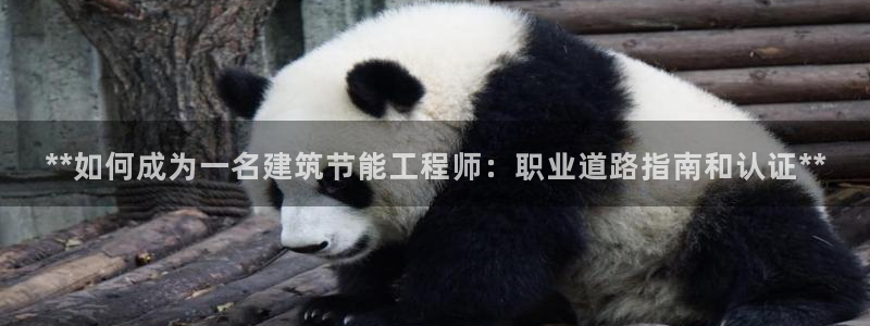 e尊国际客户端下载：**如何成为一名建筑节能工程师：职业道路指南和认证**