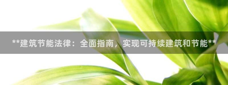 e尊国际地址：**建筑节能法律：全面指南，实现可持续建筑和节能**