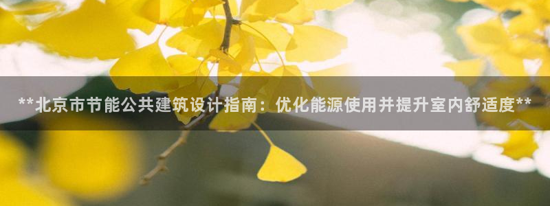 e尊国际客服：**北京市节能公共建筑设计指南：优化能源使用并提升室内舒适度**