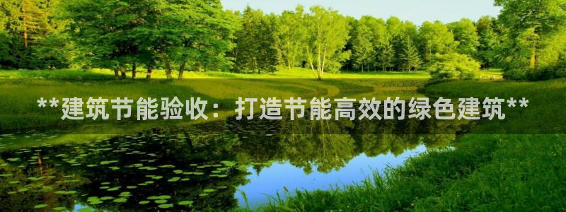 e尊国际娱乐官网下载：**建筑节能验收：打造节能高效的绿色建筑**