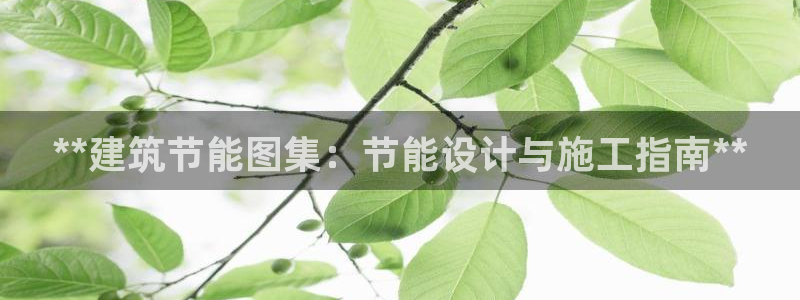 e尊国际是干什么的：**建筑节能图集：节能设计与施工指南**