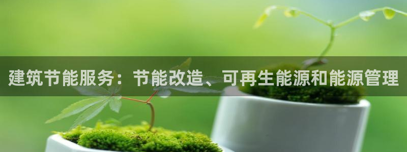 e尊国际客服：建筑节能服务：节能改造、可再生能源和能源管理