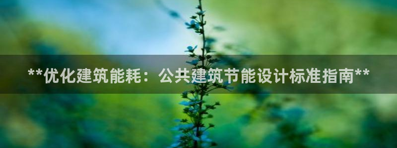 e尊国际平台：**优化建筑能耗：公共建筑节能设计标准指南**