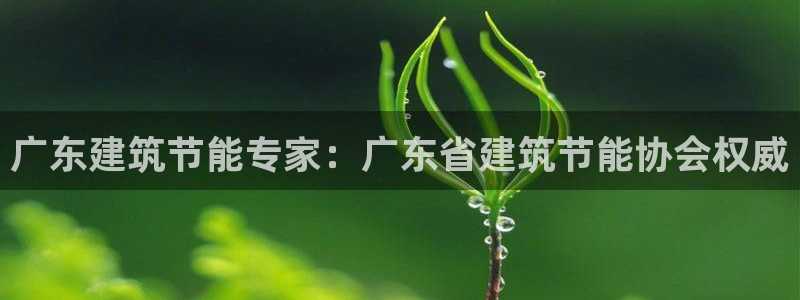 e尊国际的手机登录网站：广东建筑节能专家：广东省建筑节能协会权威