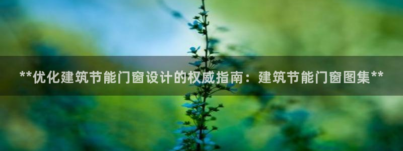 e尊国际7779：**优化建筑节能门窗设计的权威指南：建筑节能门窗图集**