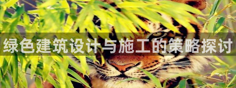e尊电竞：绿色建筑设计与施工的策略探讨