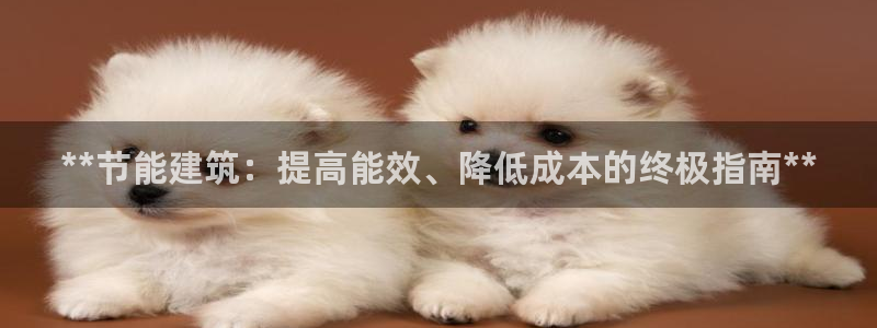 e尊国际是干什么的：**节能建筑：提高能效、降低成本的终极指南**