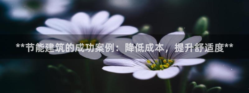 e尊国际是个黑网：**节能建筑的成功案例：降低成本，提升舒适度**