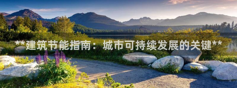 e尊国际网址：**建筑节能指南：城市可持续发展的关键**