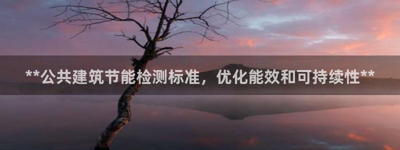 e尊国际是干什么的：**公共建筑节能检测标准，优化能效和可持续性**