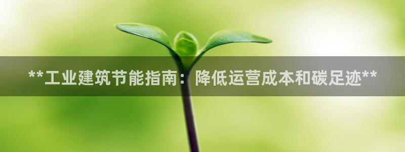 尊亿游戏国际官网：**工业建筑节能指南：降低运营成本和碳足迹**