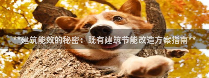 e尊国际地址：**建筑能效的秘密：既有建筑节能改造方案指南**