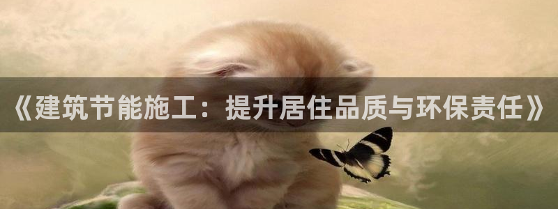 e尊国际网址：《建筑节能施工：提升居住品质与环保责任》