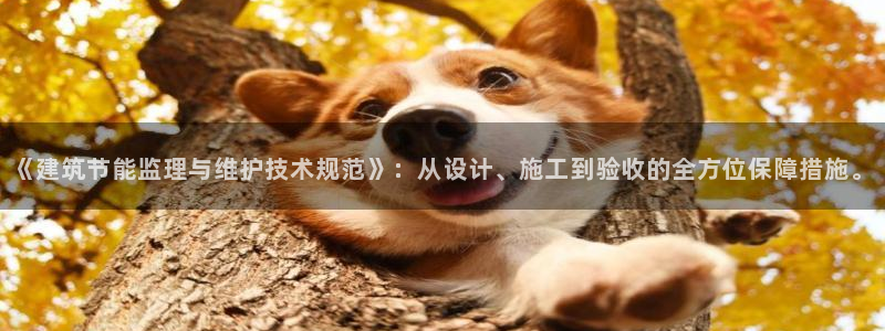 尊亿游戏国际官网：《建筑节能监理与维护技术规范》：从设计、施工到验收的全方位保障措施。