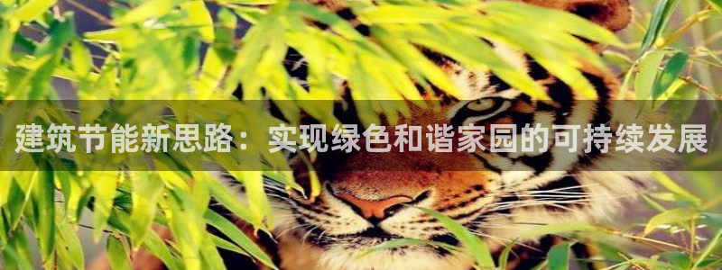 尊亿娱乐国际官网