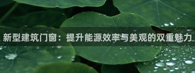 e尊国际是干什么的：新型建筑门窗：提升能源效率与美观的双重魅力