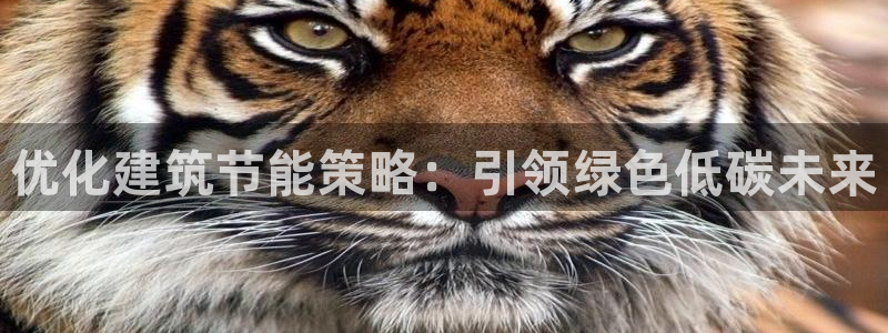 e尊国际平台：优化建筑节能策略：引领绿色低碳未来