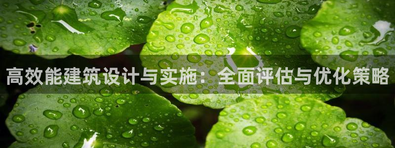 e尊国际客服：高效能建筑设计与实施：全面评估与优化策略
