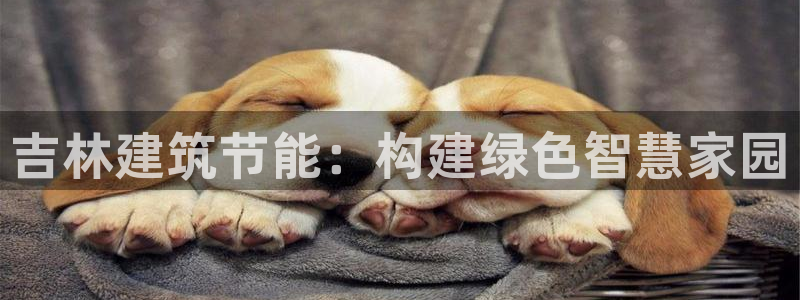 e尊官网：吉林建筑节能：构建绿色智慧家园
