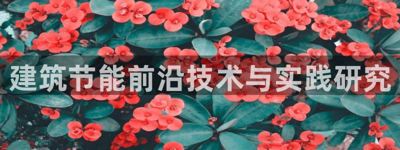 e尊国际是干什么的：建筑节能前沿技术与实践研究