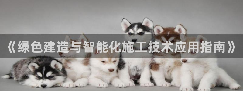 e尊国际-e尊国际官网：《绿色建造与智能化施工技术应用指南》