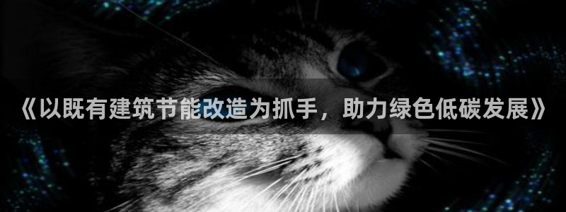 e尊体育：《以既有建筑节能改造为抓手，助力绿色低碳发展》