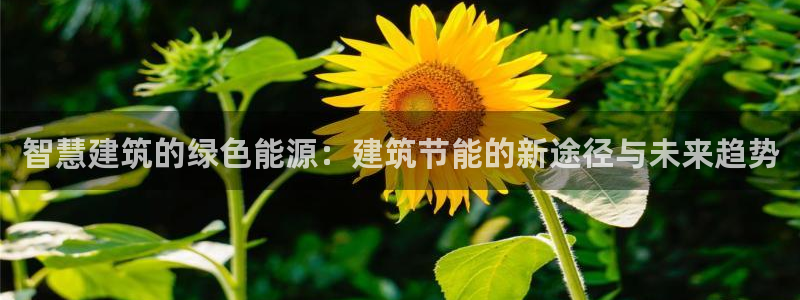 e尊国际娱乐官网地址：智慧建筑的绿色能源：建筑节能的新途径与未来趋势
