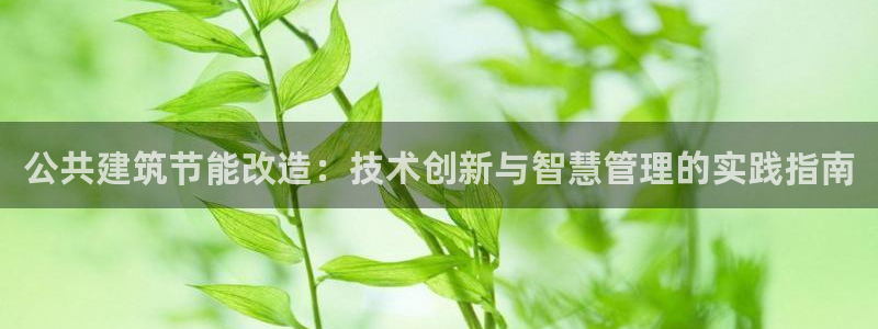 e尊国际-e尊国际官网：公共建筑节能改造：技术创新与智慧管理的实践指南