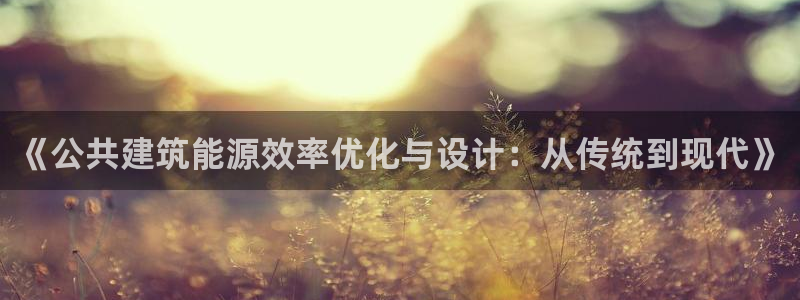 谁知道e尊国际的网址：《公共建筑能源效率优化与设计：从传统到现代》